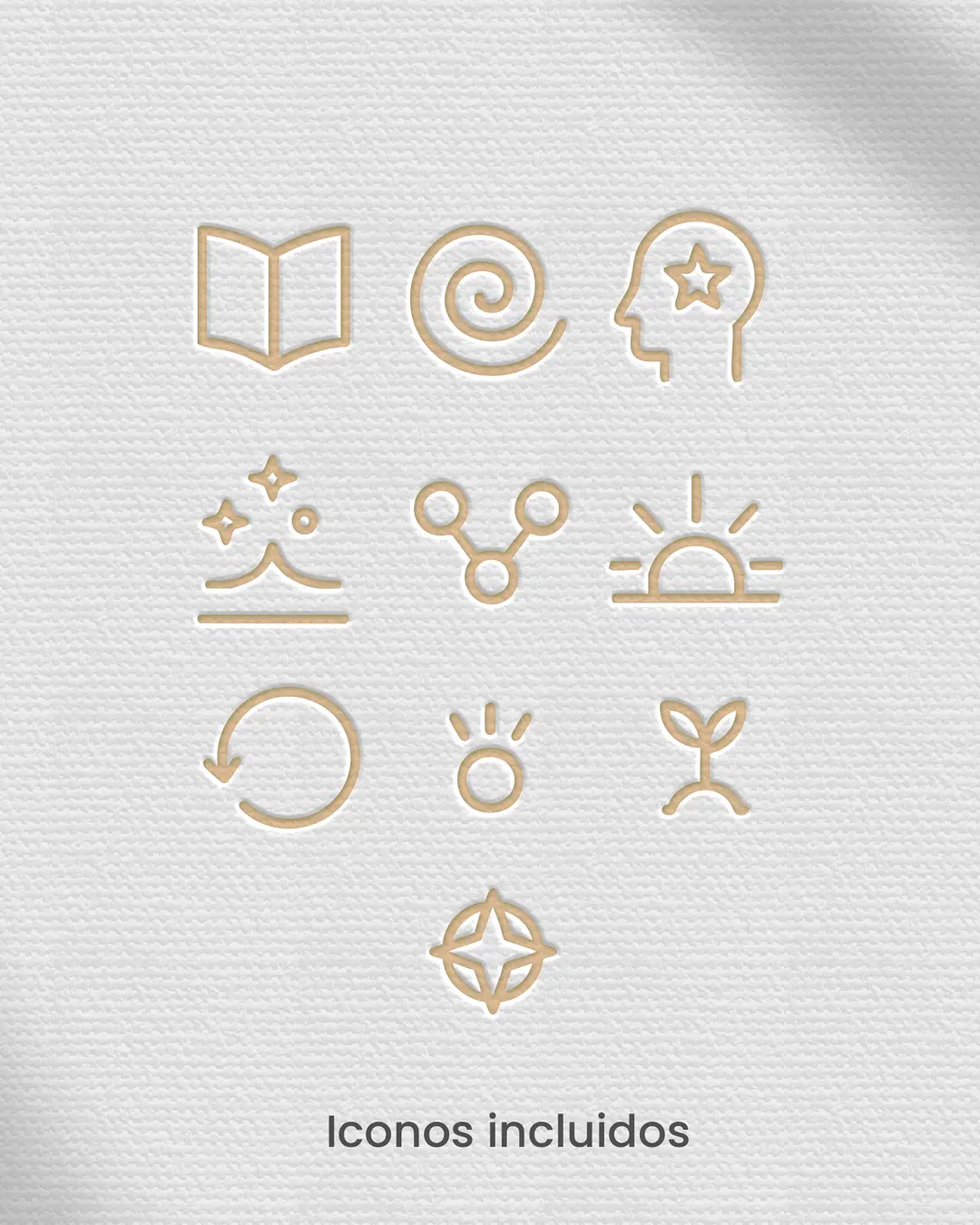 elemento-oh-productos-kit-de-branding-educativo